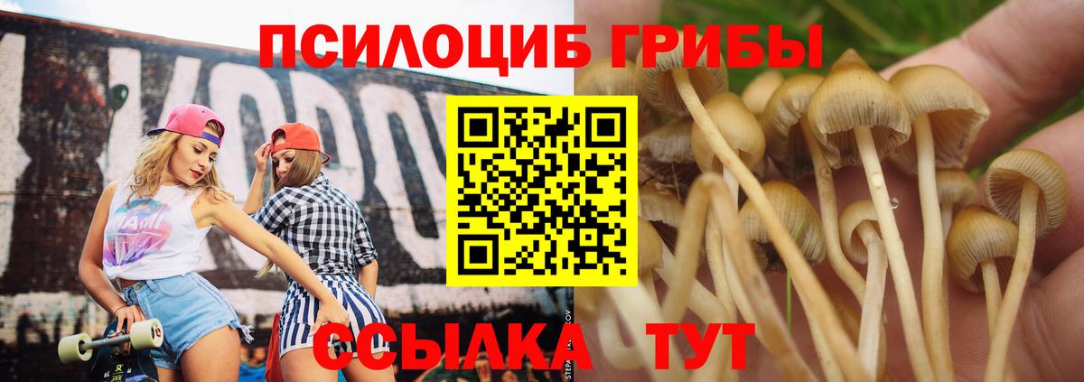 Псилоцибиновые грибы GOLDEN TEACHER  Галлюциногенные грибы мицелий  Вход с VPN  Орск 